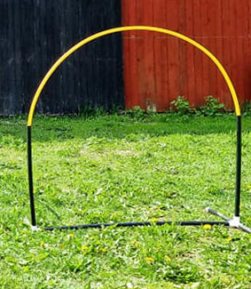 Svart-gul hoop
